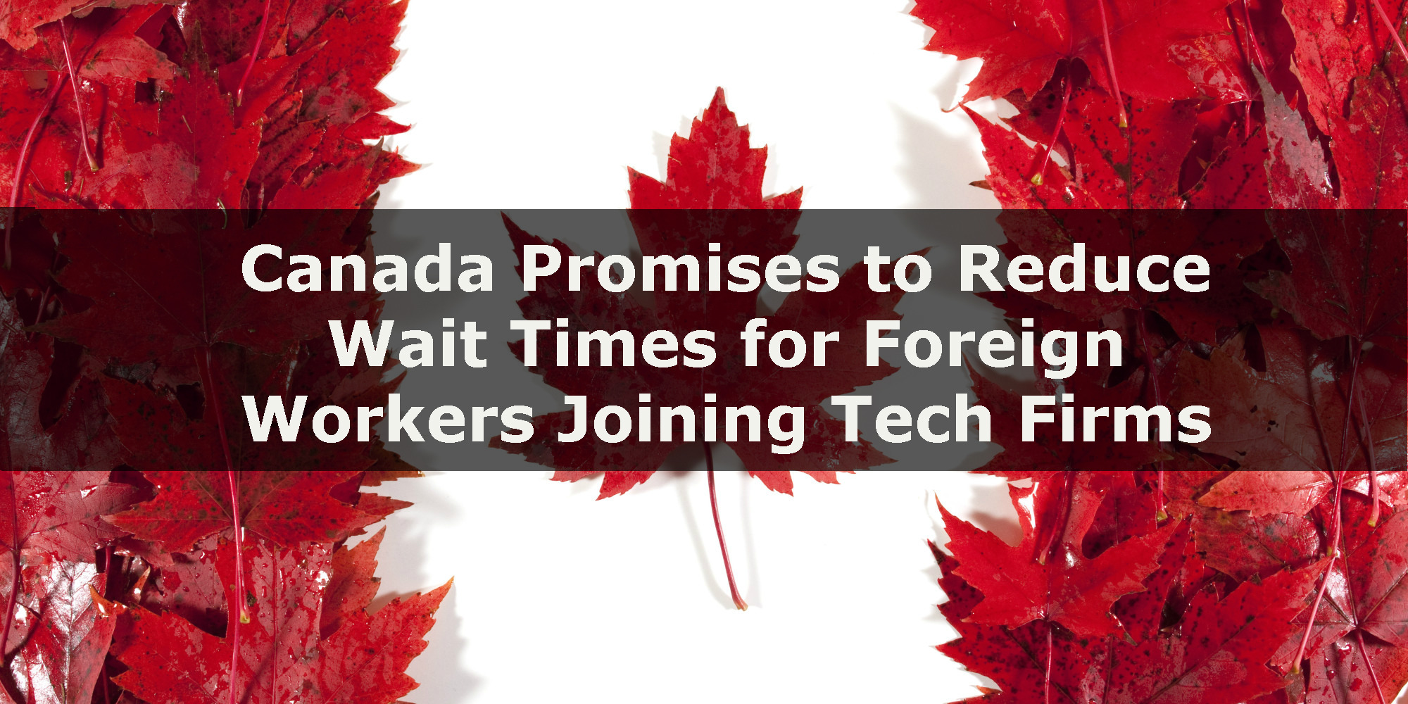 Canadian Immigration: Ottawa Vows to Cut Wait Times for Foreign Workers Joining Tech Firms