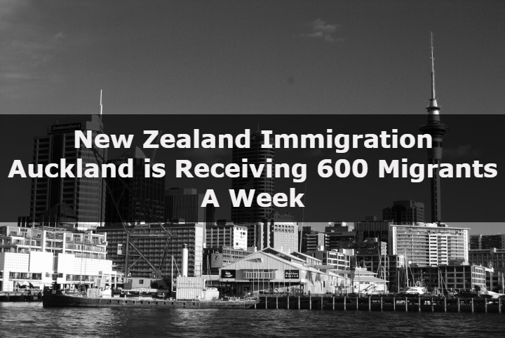 New Zealand Immigration – Auckland is Receiving 600 migrants a Week