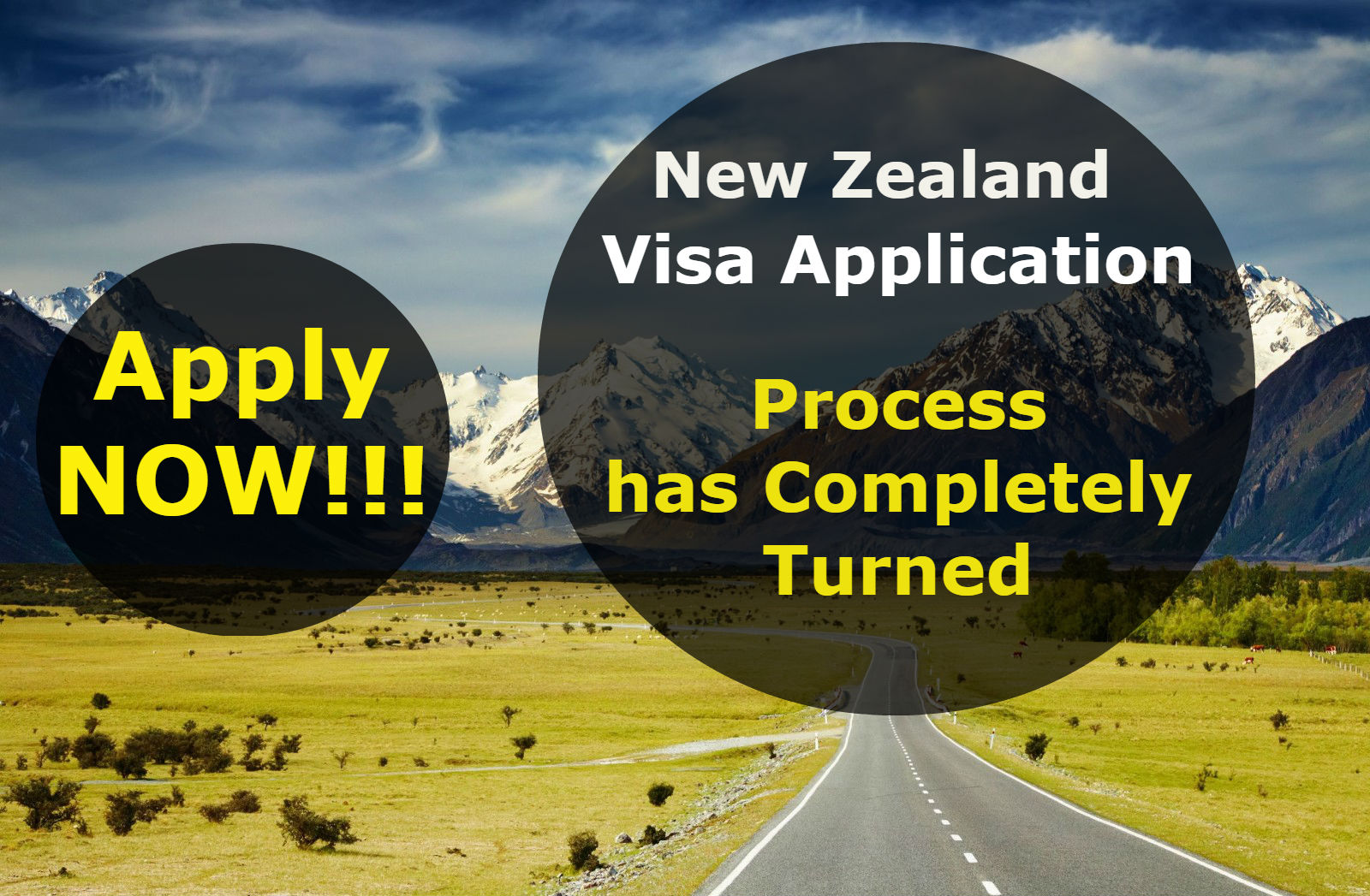 New Zealand Immigration – The Visa Application Process has Completely Turned Electronic