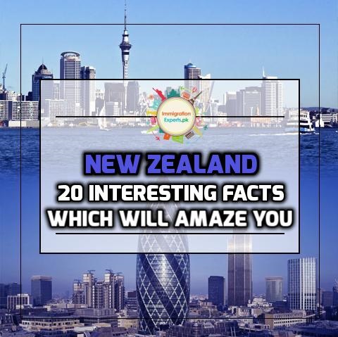 20 Interesting Facts About New Zealand Which Will Amaze You