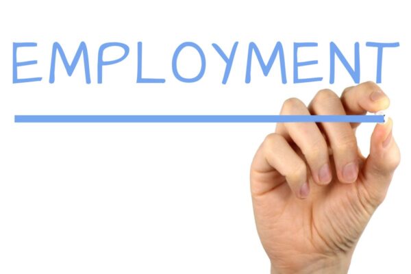 Consider Securing Employment