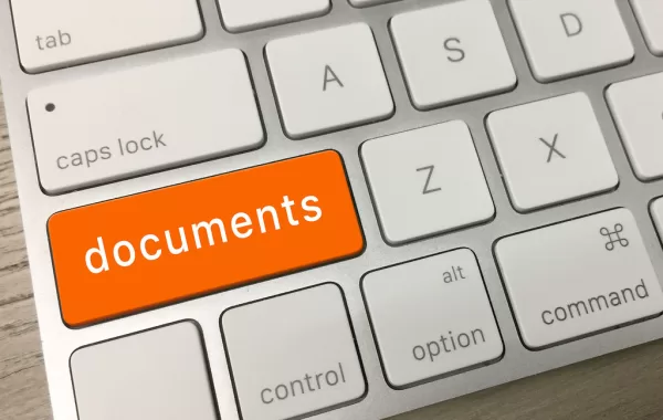 Understanding a Fraudulent or Bogus Document