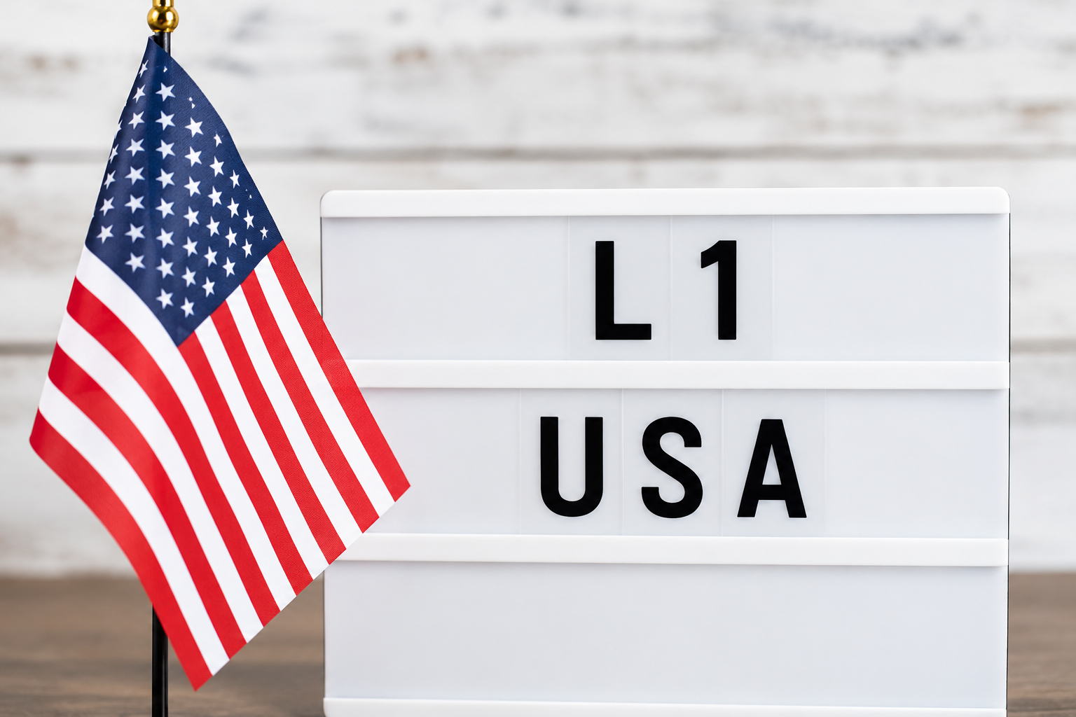USA L1 VISA